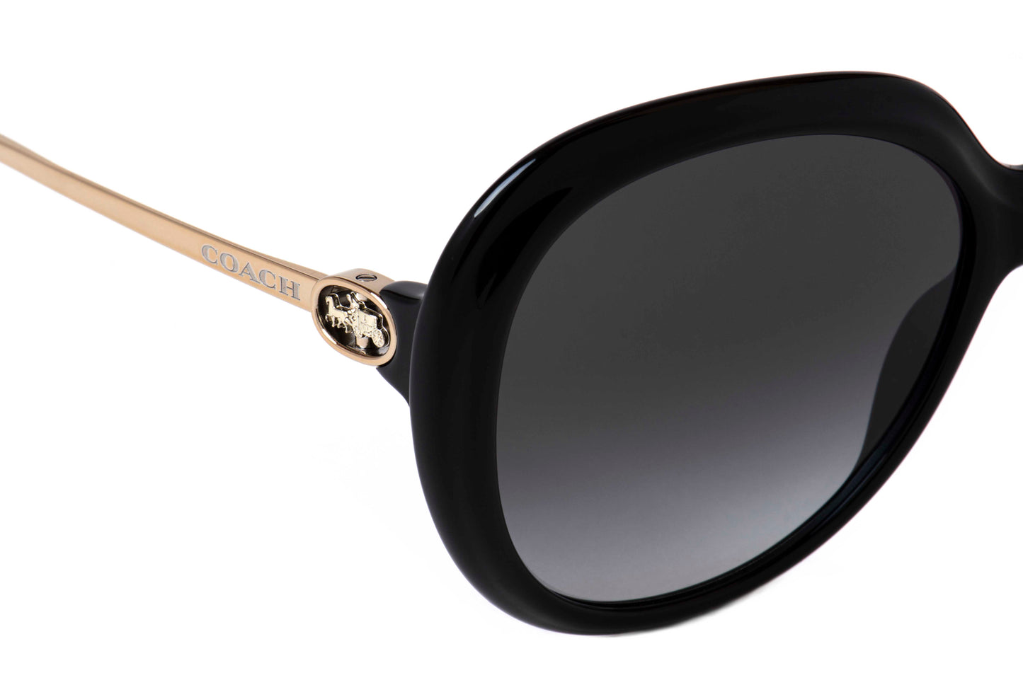 نظارات شمسية من كوتش CO 8314 50028G
