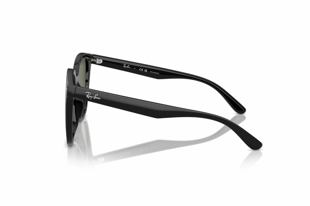 Ray-Ban Sunglasses RB 4423-D 601/9A