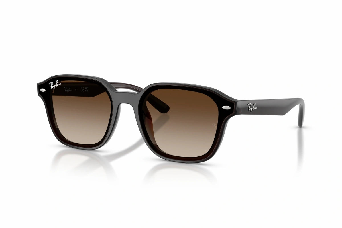 Ray-Ban RB 4418D サングラス RB4418D Sunglasses in Transparent Grey On Gunmetal and Dark Grey
