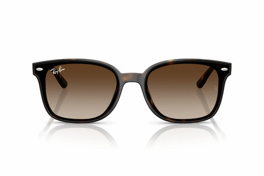 Ray-Ban Sunglasses RB 4461D 710/13