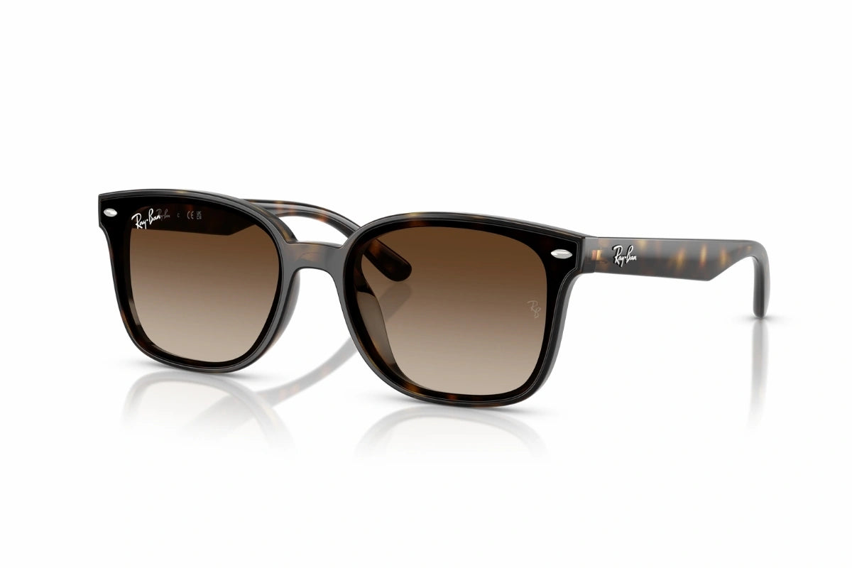 【美品】Ray-Ban RB4461D 710/13 サングラス Ray-Ban Sunglasses RB 4461D 710/13 – Sandra