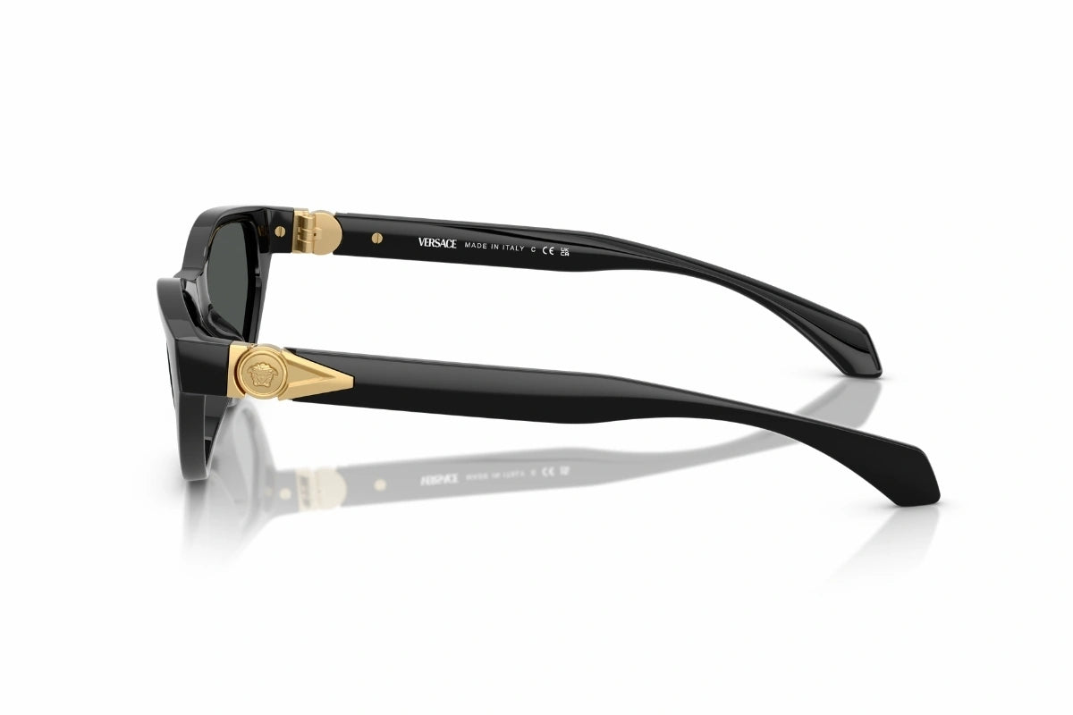 Versace Sunglasses VE 4491-U GB1/87