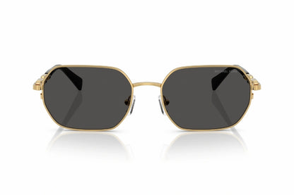 Michael Kors Sunglasses MK 1165 1896/87