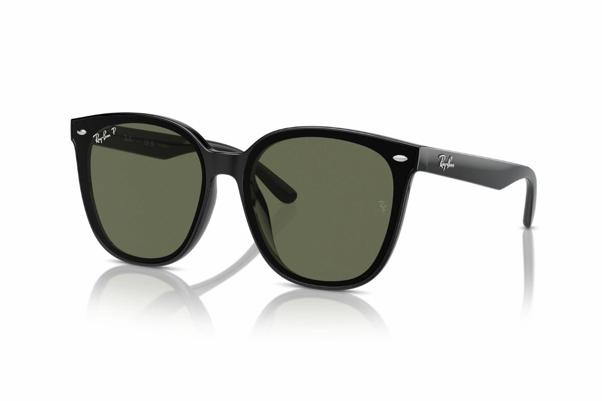 Ray-Ban Sunglasses RB 4423-D 601/9A