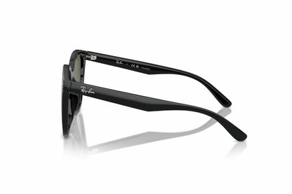 Ray-Ban Sunglasses RB 4423-D 601/9A