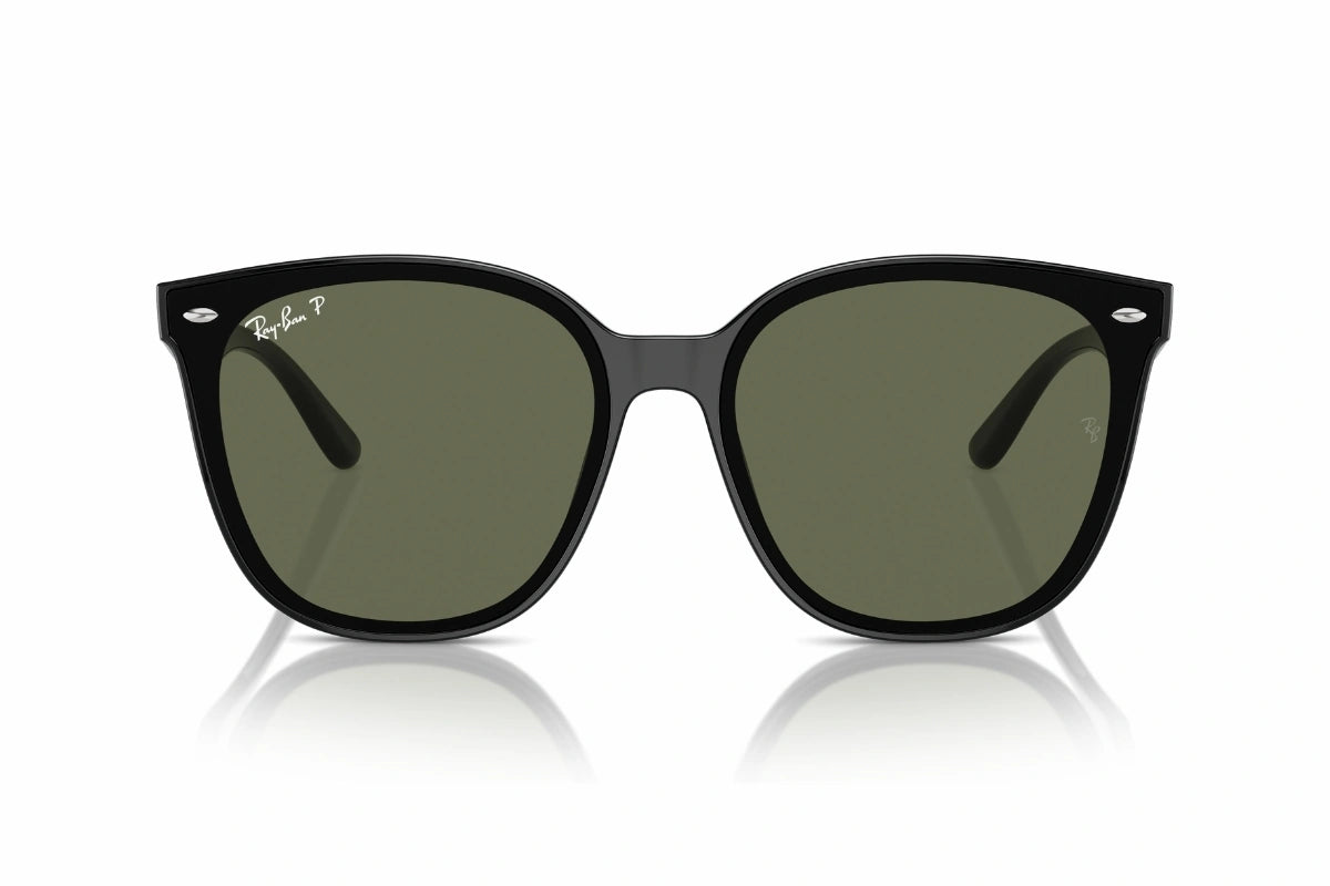 Ray-Ban Sunglasses RB 4423-D 601/9A