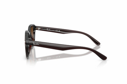 Ray-Ban Sunglasses RB 4458D 714/13