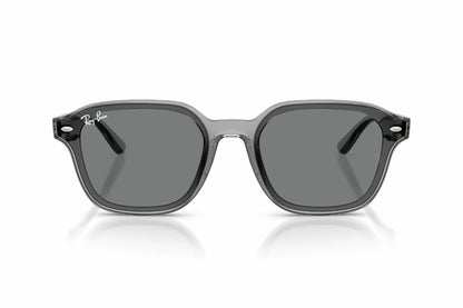 Ray-Ban Sunglasses RB 4458D 6450/87