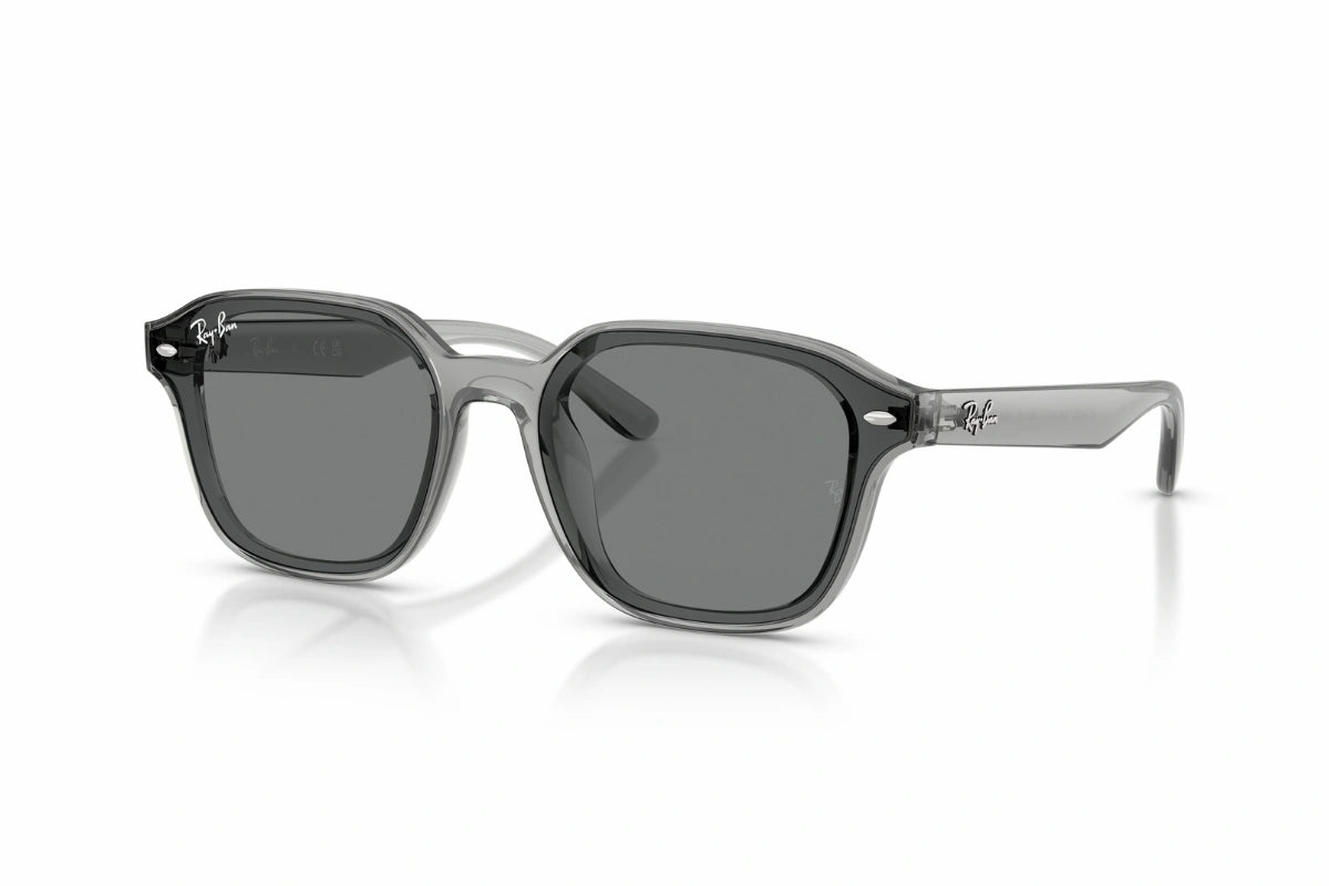 Ray-Ban Sunglasses RB 4458D 6450/87