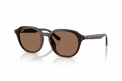 Ray-Ban Sunglasses RB 4459D 6231/73