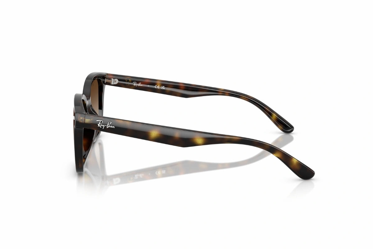 Ray-Ban Sunglasses RB 4461D 710/13 – Sandra