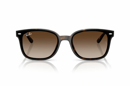 Ray-Ban Sunglasses RB 4461D 710/13