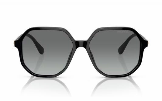 Swarovski Sunglasses SK 6003 100111