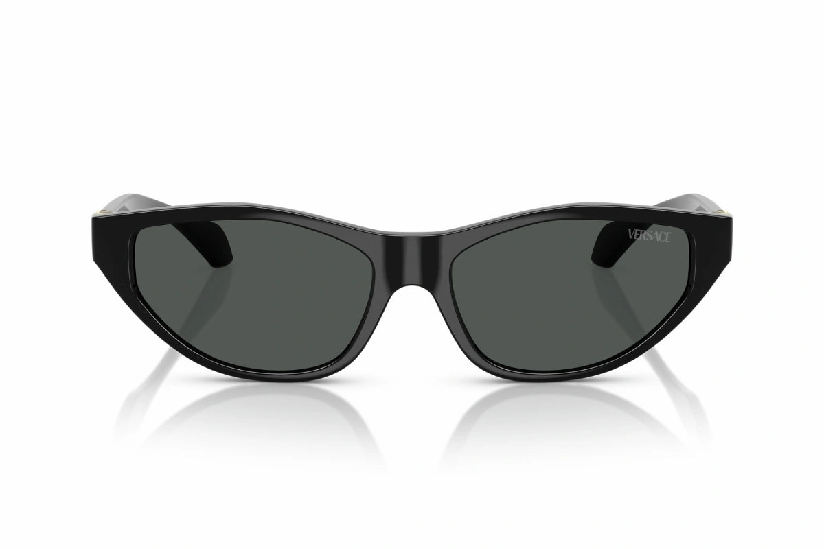 Versace Sunglasses VE 4491-U GB1/87