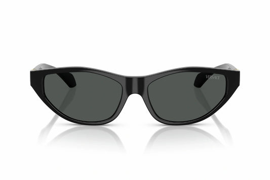 Versace Sunglasses VE 4491-U GB1/87