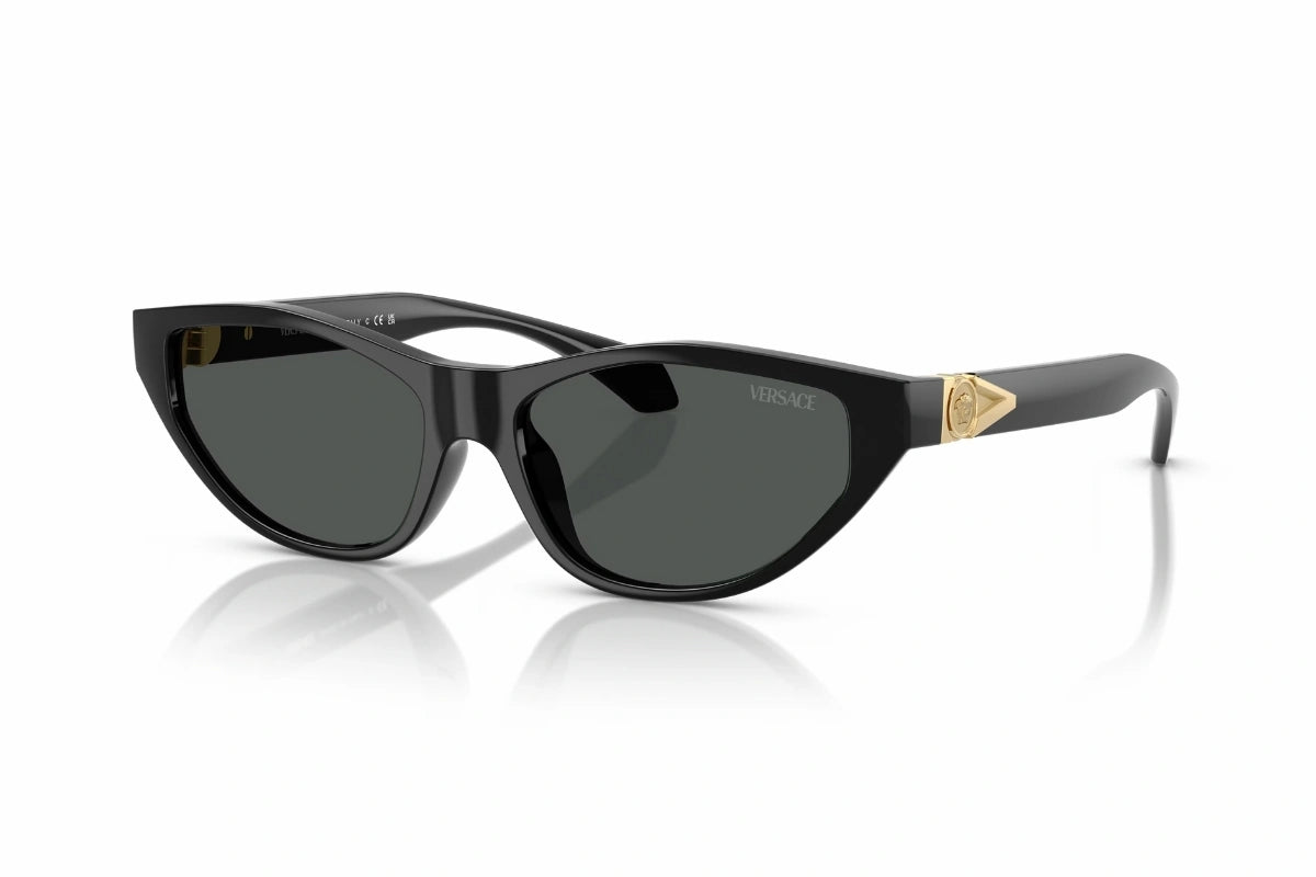 Versace Sunglasses VE 4491-U GB1/87