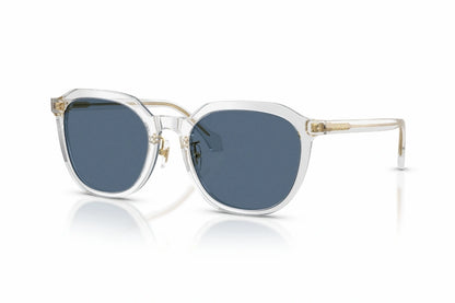 Versace Sunglasses VE 4493-D 5519/71