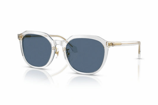 Versace Sunglasses VE 4493-D 5519/71