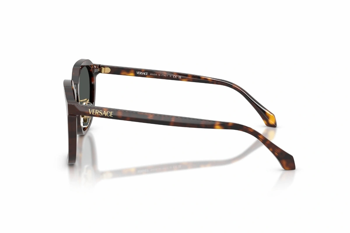 Versace Sunglasses VE 4493-D 108/87