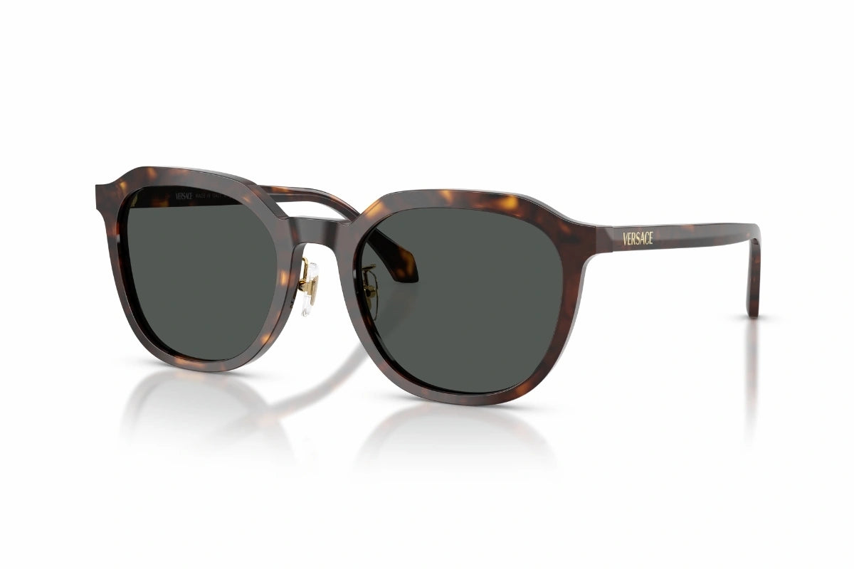 Versace Sunglasses VE 4493-D 108/87